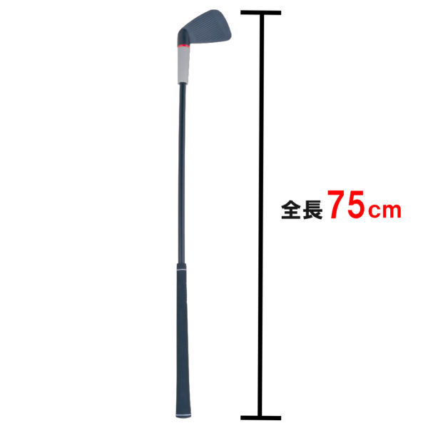 TII様専用品スイングバランス計測器【Dainin BANCER-Ⅲ】 その他