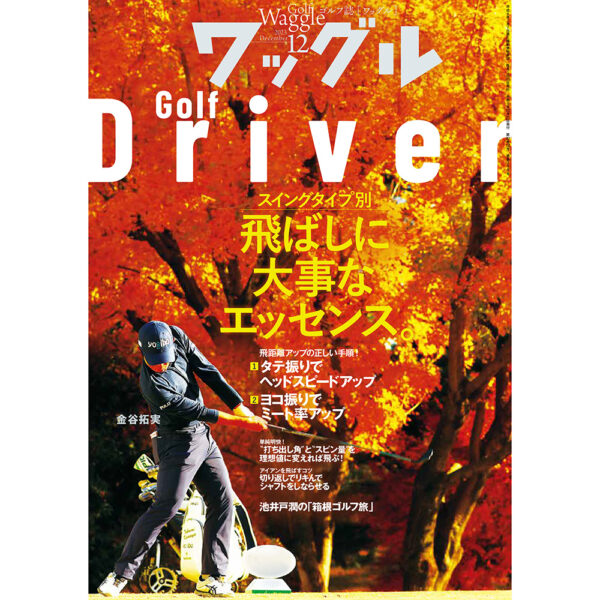 ゴルフ誌「ワッグル」12月号掲載『ダイヤスイングVS』